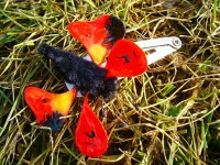 /album/sponky-a-stipceky/b-2384002-ff22035156-jpg1/