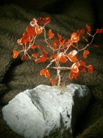 /album/predane1/p5112318-jpg/