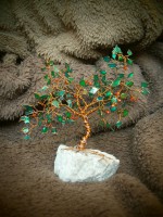 /album/predane1/p7083375-jpg/