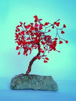 /album/predane1/p7093427-jpg/